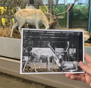 Atelier Broderie sur photos - au Mini-Lab / Le MHN fait le Mur