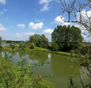 Balade naturaliste: une fin d’après-midi au fil de l’eau