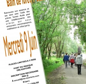 RDV Nature: Bain de forêt, l'essence de la vie en eveil