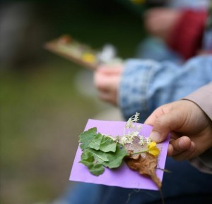 La nature pour les tiots