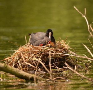 La palette de l'artiste