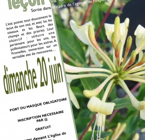 Agenda de l'explorateur : leçon de séduction