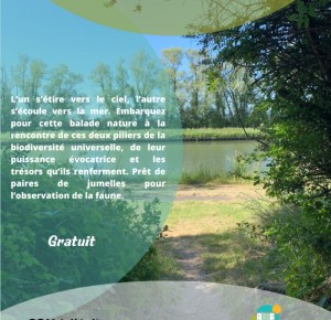 Un bois, une rivière