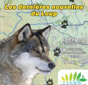 Conférence : Les dernières nouvelles du Loup
