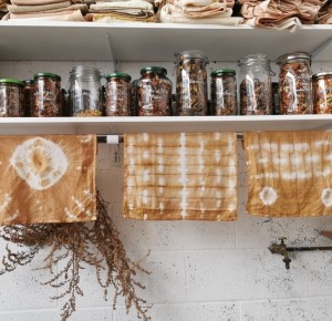 COMPLET-Vert par Nature : Teintures naturelles et Shibori