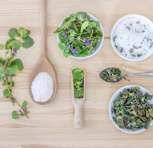 Vert par Nature : mes produits naturels