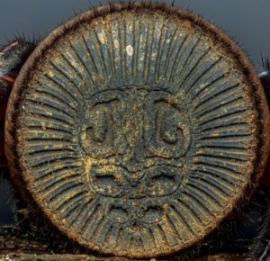 Œuvre d’art à huit pattes