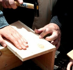 COMPLET - Offrez un refuge aux oiseaux