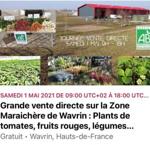 Grande vente maraichère