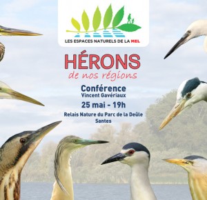 Conférence : Hérons de nos régions