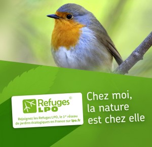 Conférence : Programme Refuges LPO, 1er réseau de jardins écologiques