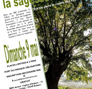 RDV Nature: la sagesse de l'âge