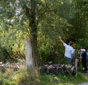 Balade naturaliste : une nature à (dé)peindre