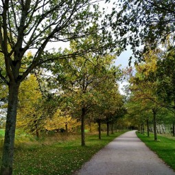 Sentier Ans red