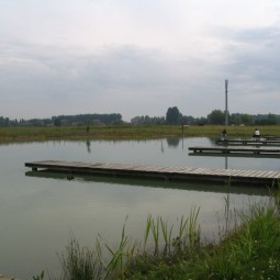 Etangs fromelles