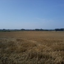 Vue des terrils jumeaux