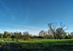 Paysage de campagne